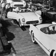 Illustration for article titled Celebrate The Corvettes 60th Birthday With These Historic Photos